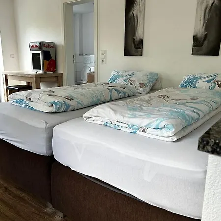 Alte Schmiede - Xxl Foodhouse Guest house *